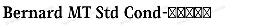 Bernard MT Std Cond字体转换